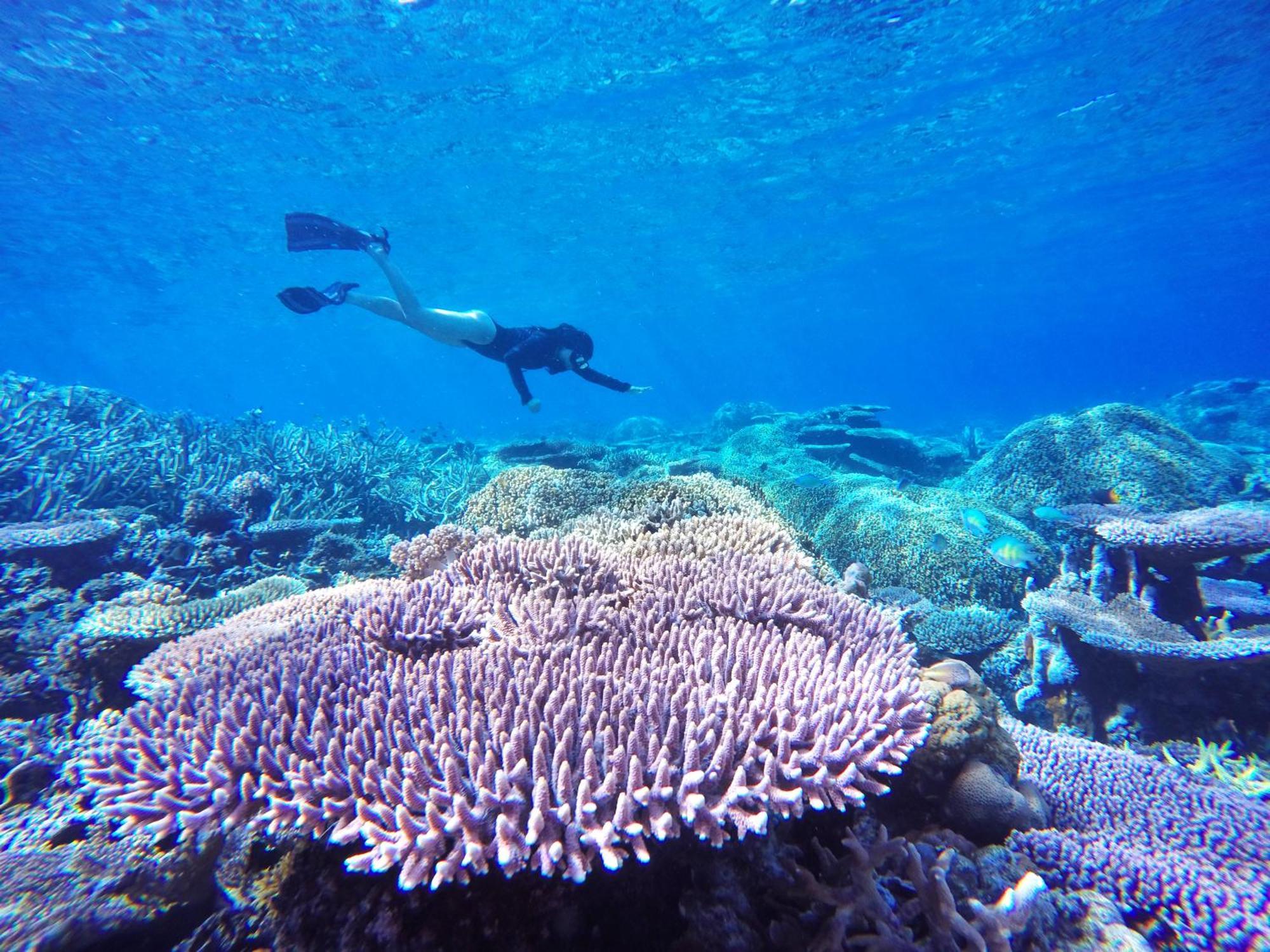 Bolilanga Island Resort - Togean Island Angkayo Luaran gambar