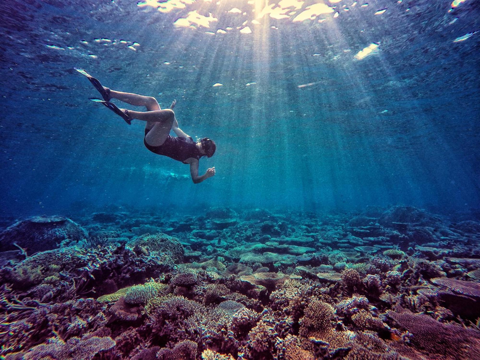 Bolilanga Island Resort - Togean Island Angkayo Luaran gambar